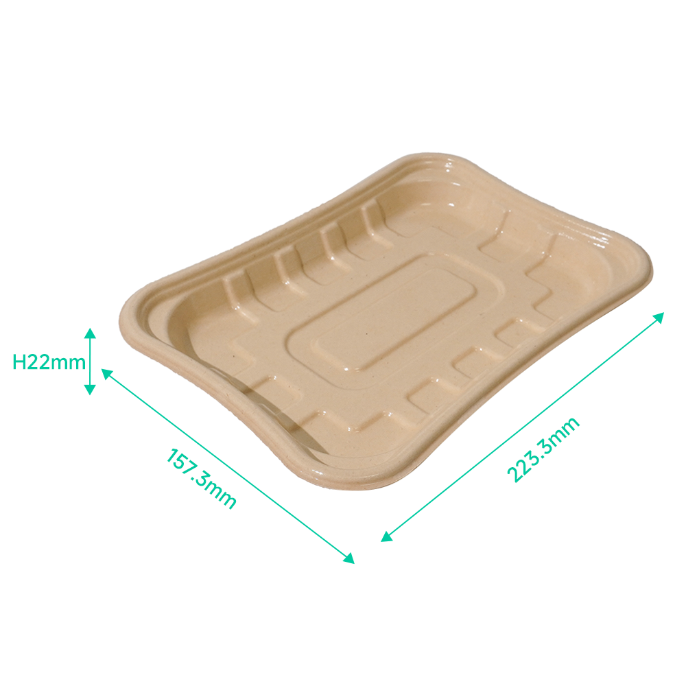 770ml 8.8×6.2×H0.9" 22±2g Bagasse Biodegradable Fresh Meat Tray