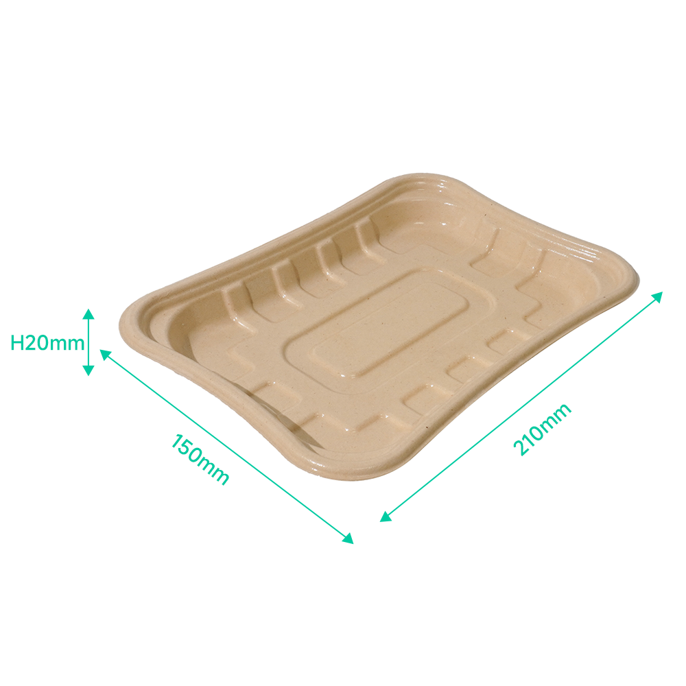 630ml 8.3×5.9×H0.8" 20±2g Bagasse Biodegradable Fresh Meat Tray