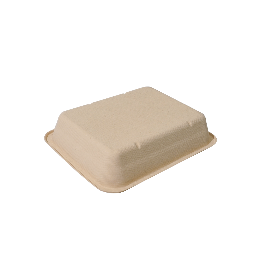 1820ml 9×7×H1.8" 25±2g Bagasse Biodegradable Fresh Meat Tray