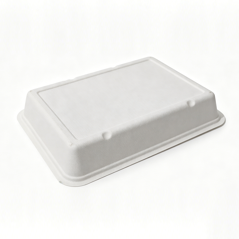 2000ml 10.31x7.56xH1.77" 35g Bagasse Biodegradable Meal Tray