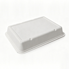 2000ml 10.31x7.56xH1.77" 35g Bagasse Biodegradable Meal Tray