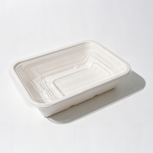 750ml 7.56x5.51xH1.77" 19g Bagasse Biodegradable Meal Tray