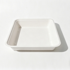 1700ml 9.05x7.56xH1.77" 30g Bagasse Biodegradable Meal Tray