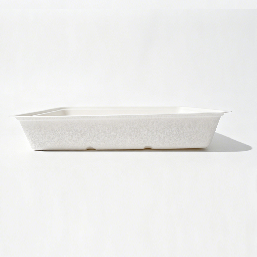 2000ml 10.31x7.56xH1.77" 35g Bagasse Biodegradable Meal Tray