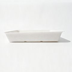 2000ml 10.31x7.56xH1.77" 35g Bagasse Biodegradable Meal Tray