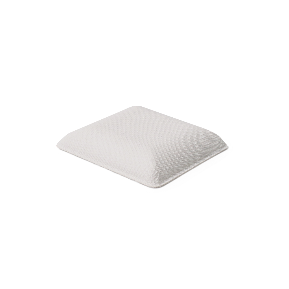 Bagasse Biodegradable Square-Shaped Dipping Sauce Tray