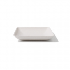 Bagasse Biodegradable Square-Shaped Dipping Sauce Tray