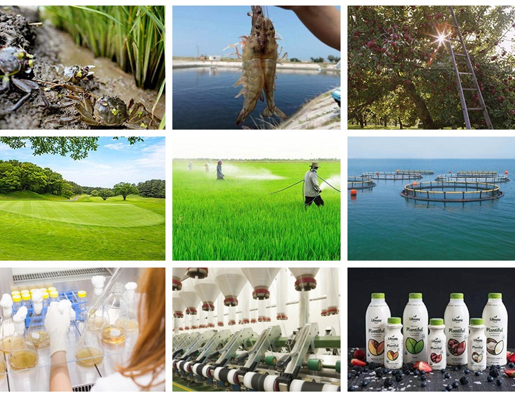 Natural pesticides agro product and snail killer teaseedcake