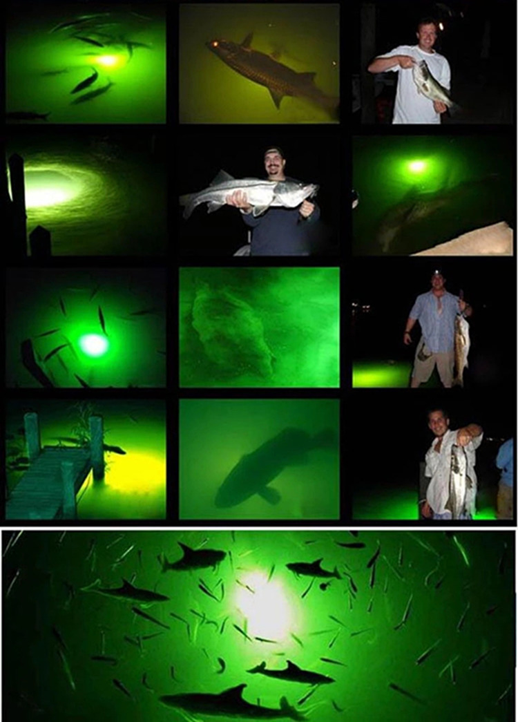 underwater led lights for fishing
