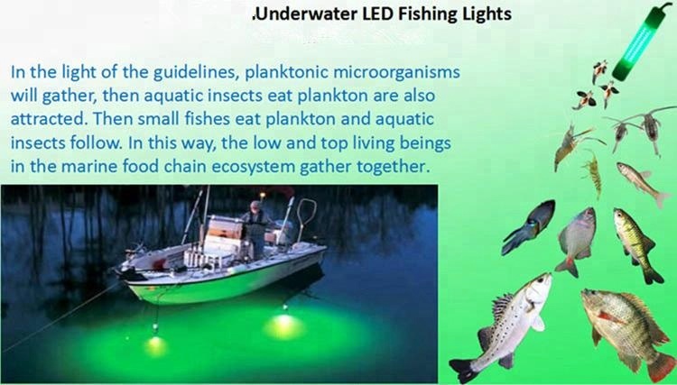green led fishing light