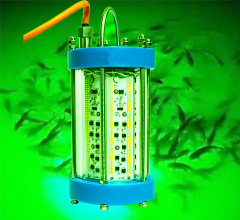 Luces de la pesca marina de 500w 1000w para la luz llevada subacuática de la pesca del calamar del barco