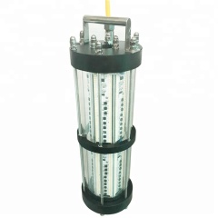 Wasserdichtes IP68 600–3000 W LED-Tauch-Angellicht, Unterwasser-Angellichter
