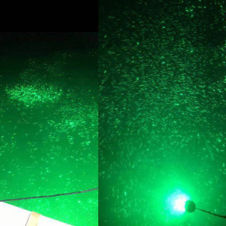 1000 watt led fishing lights
