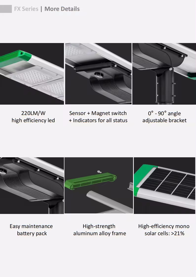 Détails du lampadaire solaire LED 100w