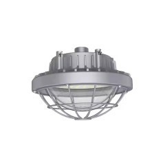 Взрывозащищенные светодиодные светильники 30 Вт 40 Вт 60 Вт 80 Вт 100 Вт 150 Вт 180 Вт 200 Вт LECEx UL светодиодные светильники для опасных помещений с низким пролетом