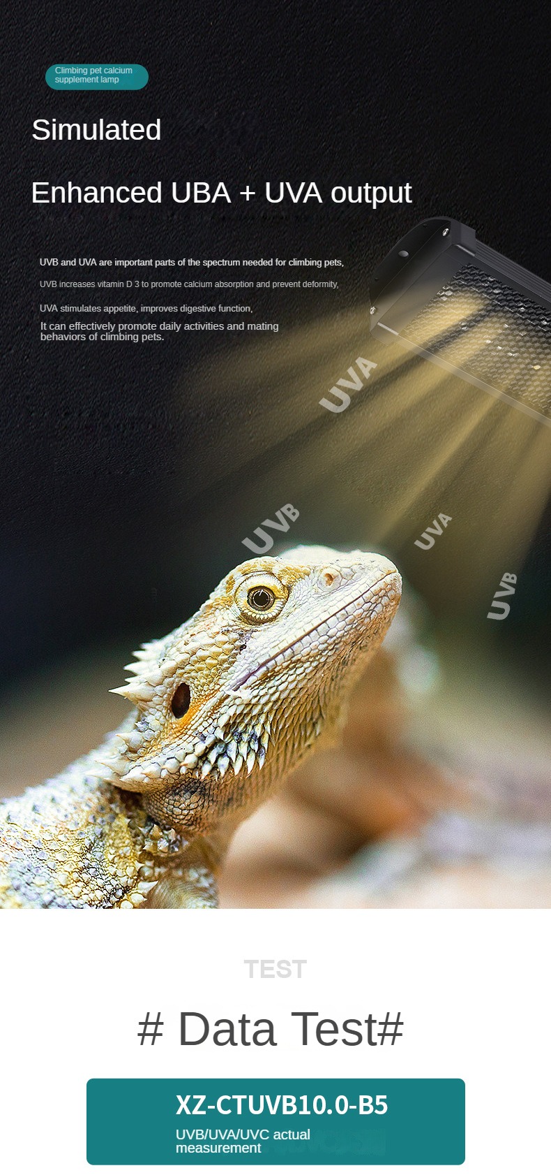 reptile uv light