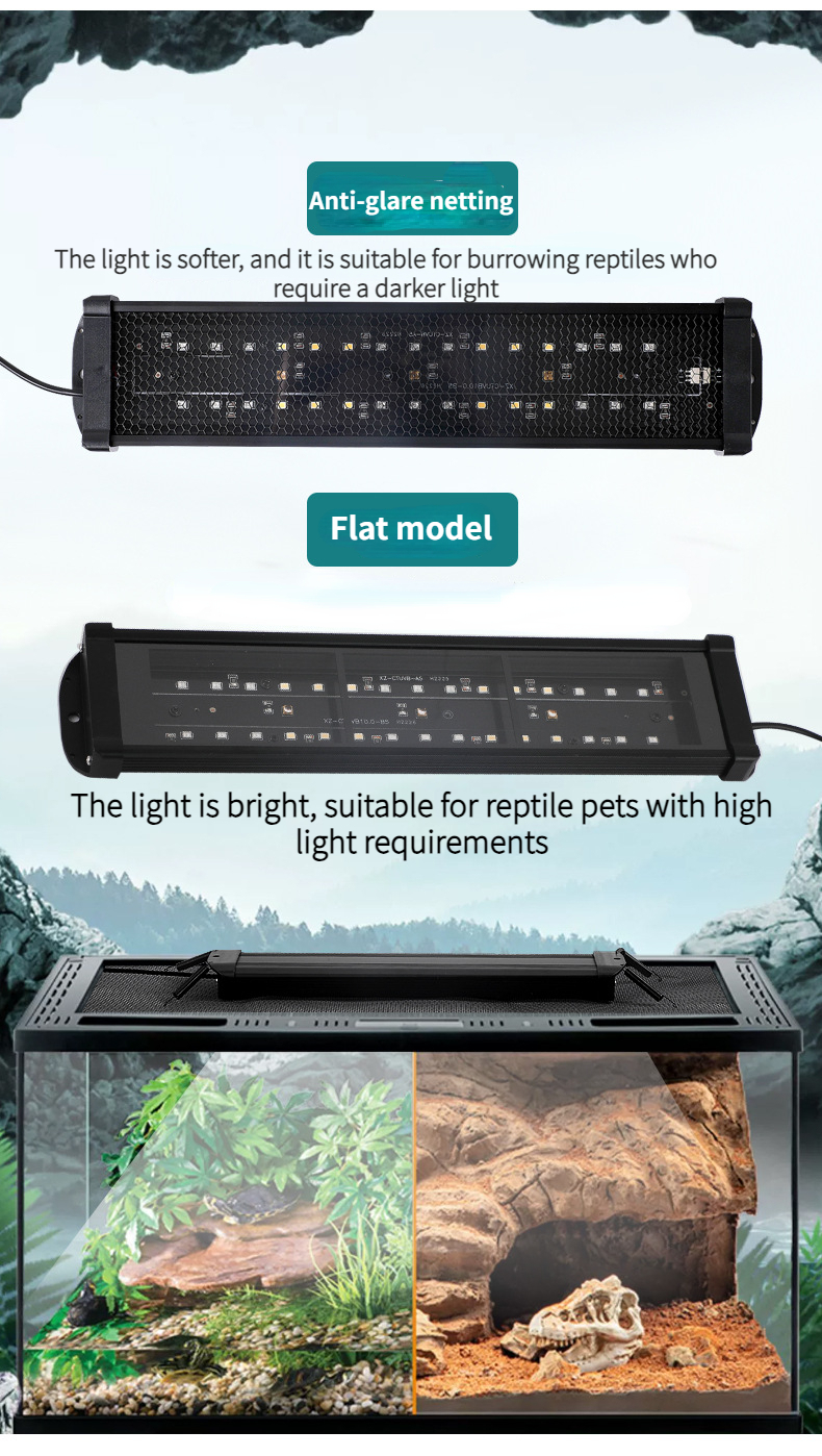 reptile lights