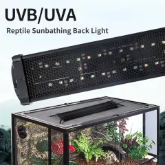 Full Spectrum UVA UVB Reptile Lights For Bearded Dragon UVA Light
