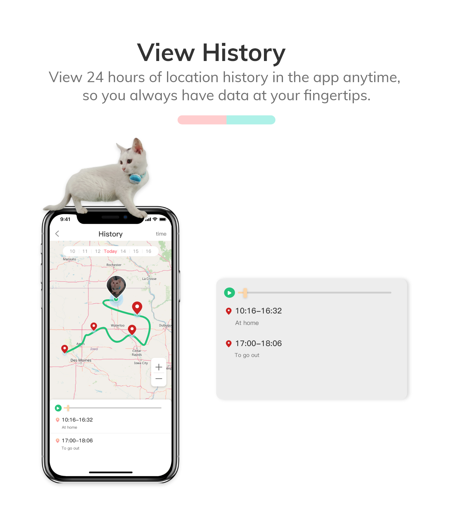 Pet hot sale city tracker