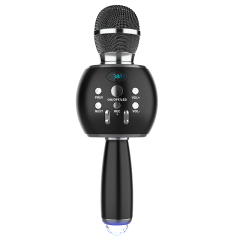 Portable Wireless BT KTV Microphone