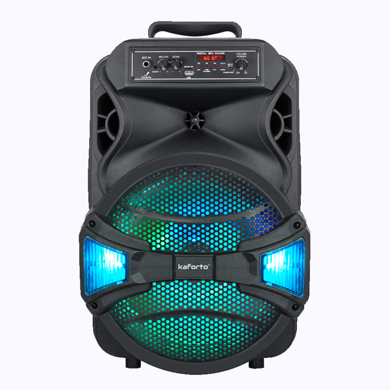 wireless connection 12 Inch LED Light Powered Outdoor portable Speaker