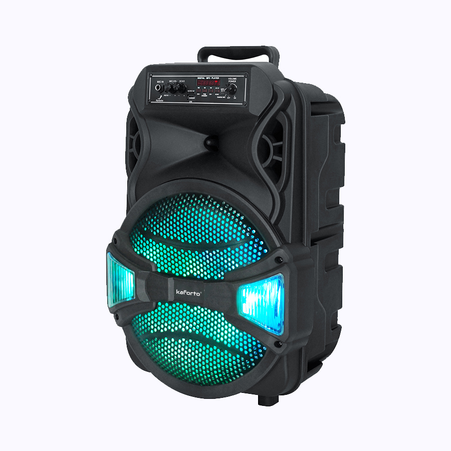 wireless connection 12 Inch LED Light Powered Outdoor portable Speaker