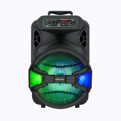 wireless connection 12 Inch LED Light Powered Outdoor portable Speaker
