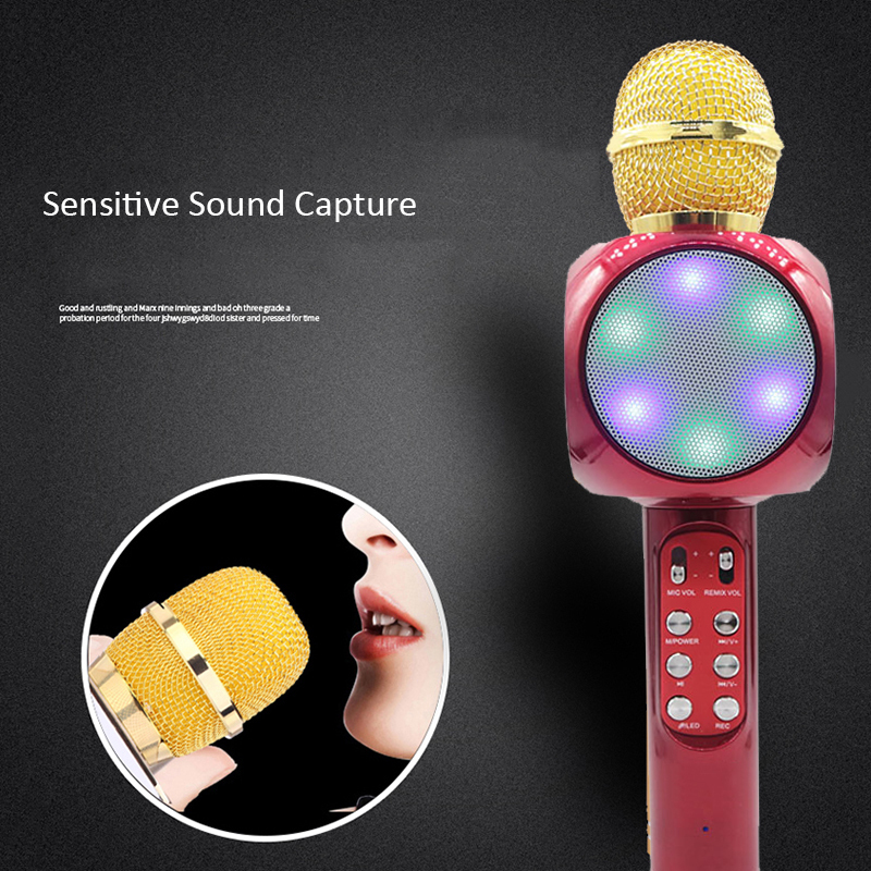 Speaker Wireless Microphone with Noise Cancellation for Home KTV