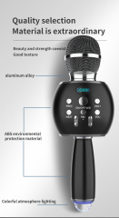 Portable Wireless BT KTV Microphone