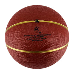 Custom Size Basketball Playing Customer's Logo training