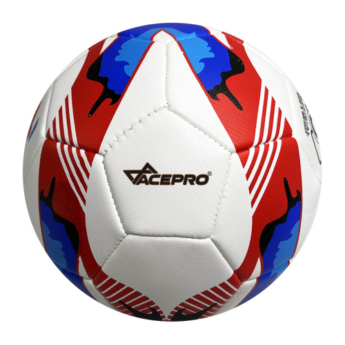 Customized Logo Style Official Size 5 Soccer Ball-ueeshop