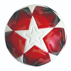Custom Logo Printed Youth Football - ueeshop