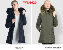 YYN6620