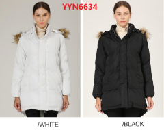 YYN6634
