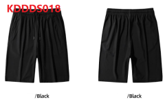KDDDS018