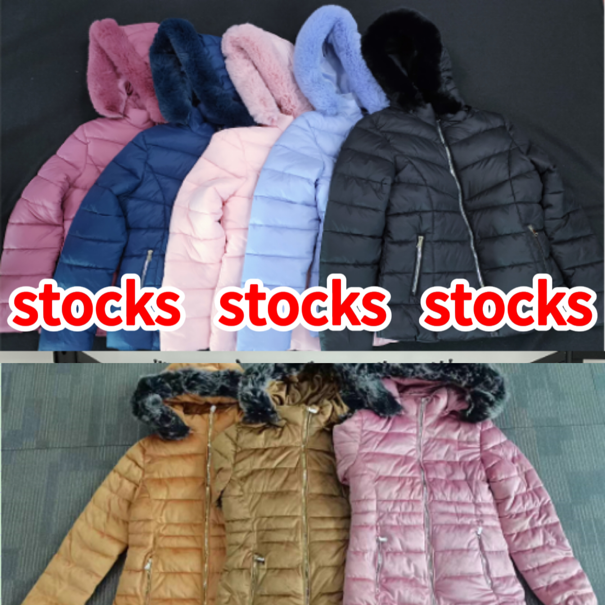 GorgeousBen stocks & ready-made&spot Wholesale Winter Solid Color Women Jacket Inside Windproof Slim Ladies padding Jacket- Wholesale Price