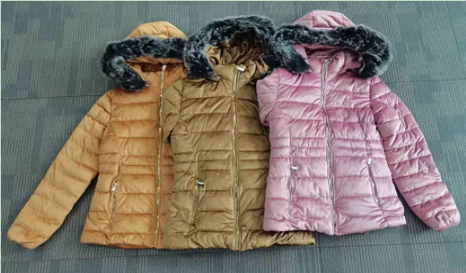 GorgeousBen stocks & ready-made&spot Wholesale Winter Solid Color Women Jacket Inside Windproof Slim Ladies padding Jacket- Wholesale Price