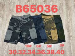 B65036