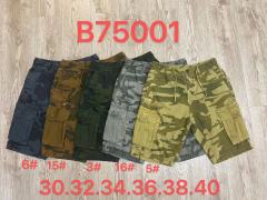 B75001