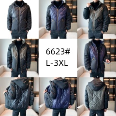 6623