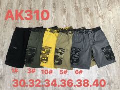 AK310