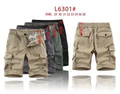 L6301