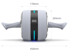 abdominal wheel