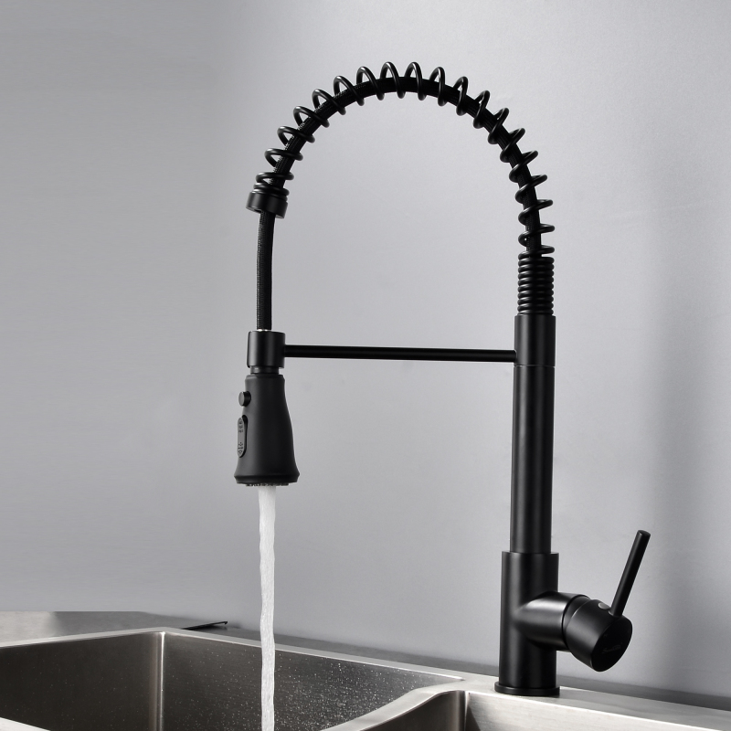 11003BL/ 11003BG Kitchen Faucet