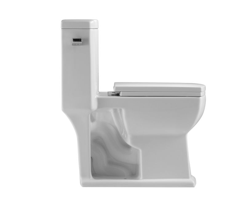 T105D Flush Elongated One-Piece Toilet (Seat Included)