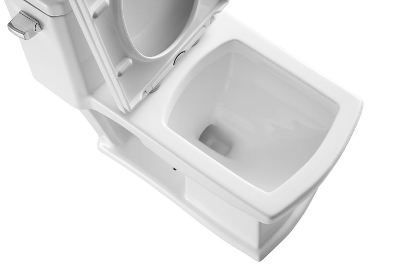 T105D Flush Elongated One-Piece Toilet (Seat Included)