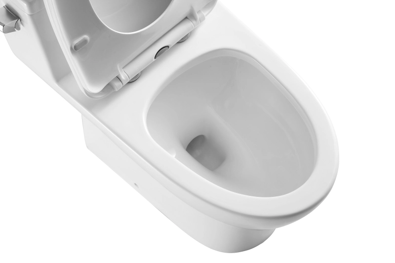 T113D Flush Elongated One-Piece Toilet (Seat Included)