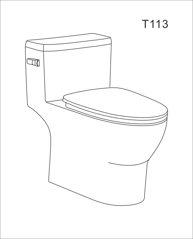 T113D Flush Elongated One-Piece Toilet (Seat Included)