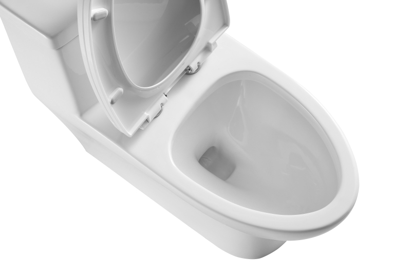 T76 One piece toilet