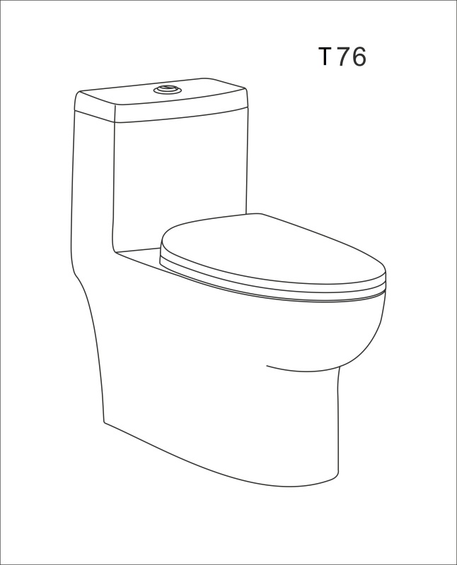 T76 One piece toilet